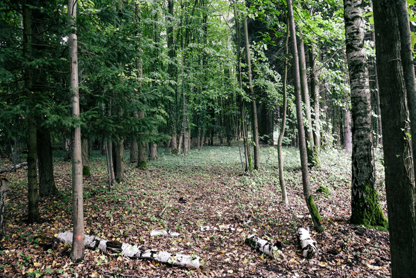 Segnung Waldfriedhof