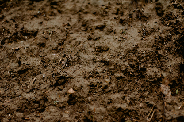 Erdaushub zur Abholung