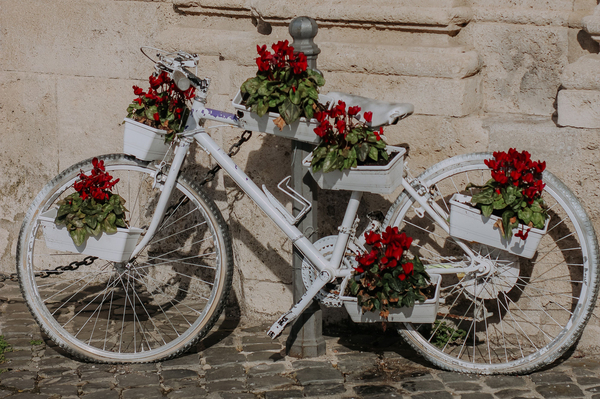 Blumenschmuck Wettbewerb