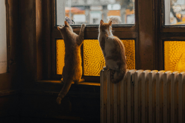 Heizkosten Zuschuss 2025/26